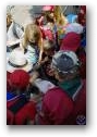 Gehe zur Galerie ->
