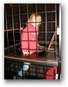   » Klick zum Vergrößern ->
