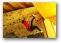   » Klick zum Vergrößern ->